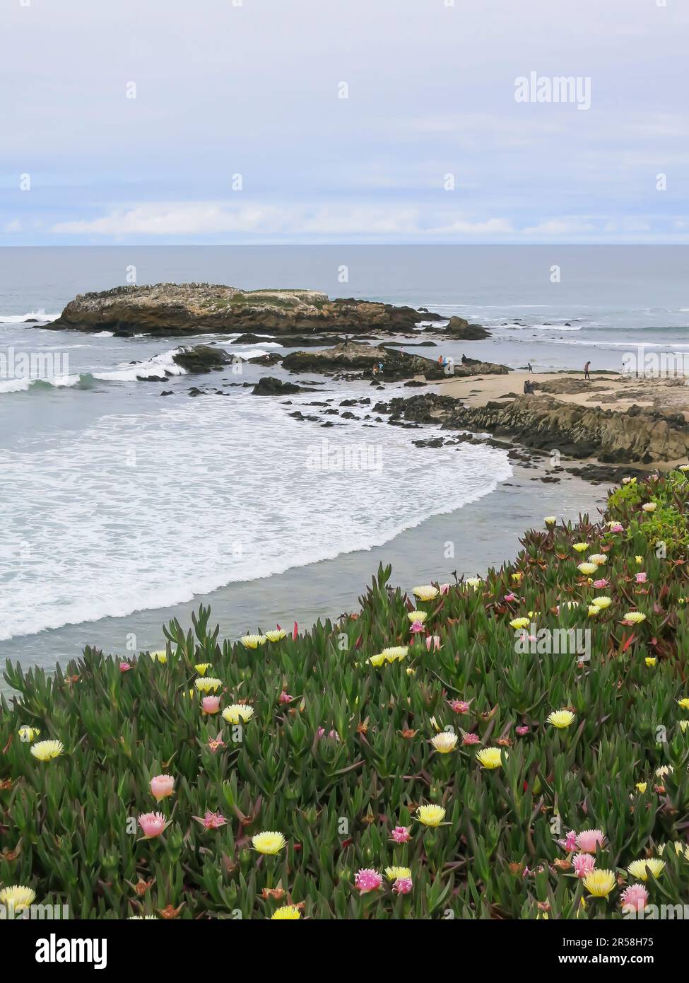 Ocean view coastal scene hi-res stock photography and images - Alamy