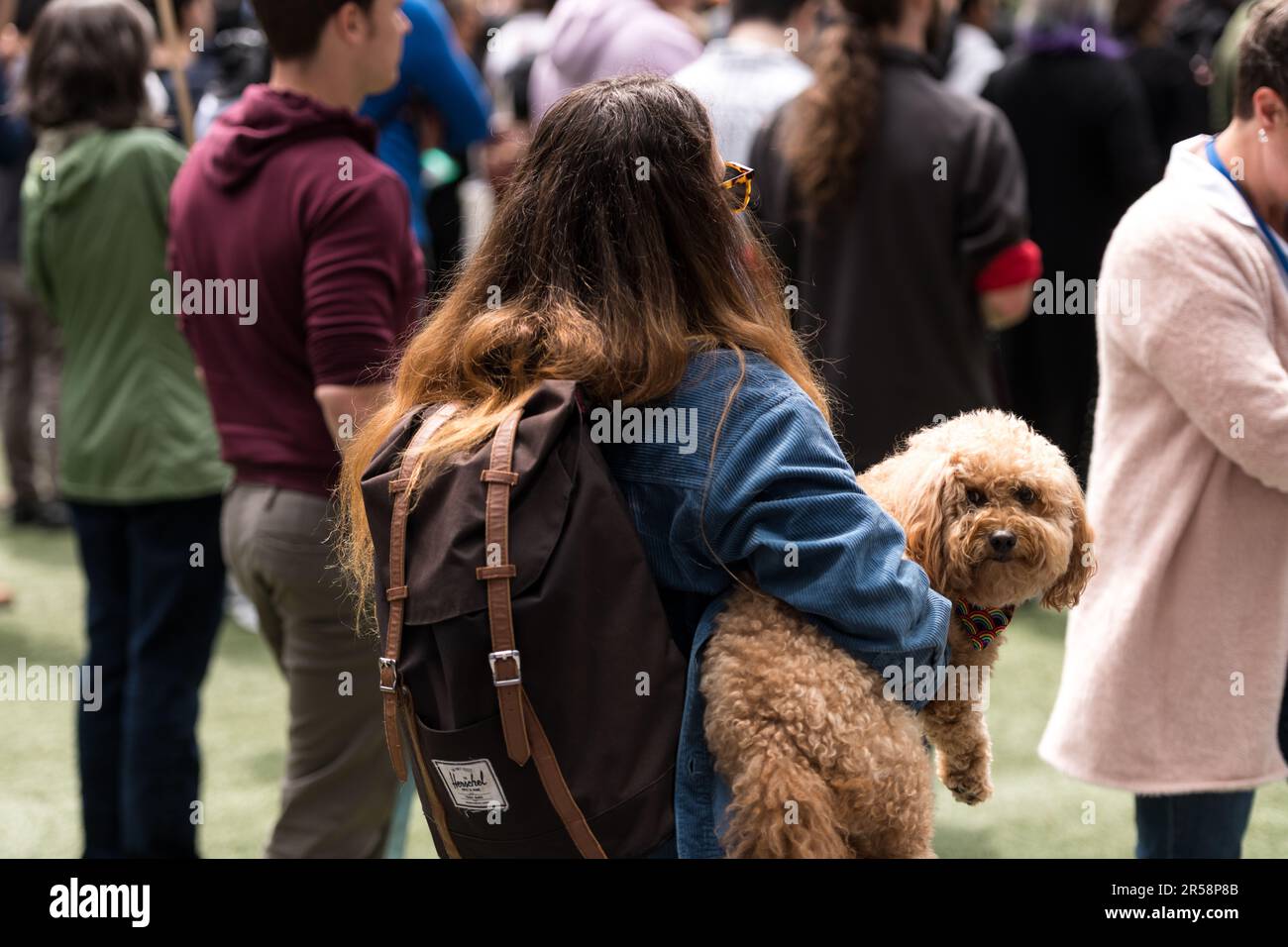Seattle, USA. 31 May, 2023. Amazon corporate employees walk out of ...