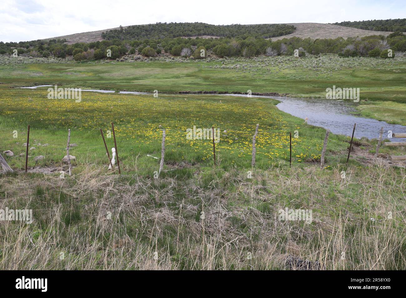 Photo of Koosharem lake and valley, Utah Stock Photo Alamy