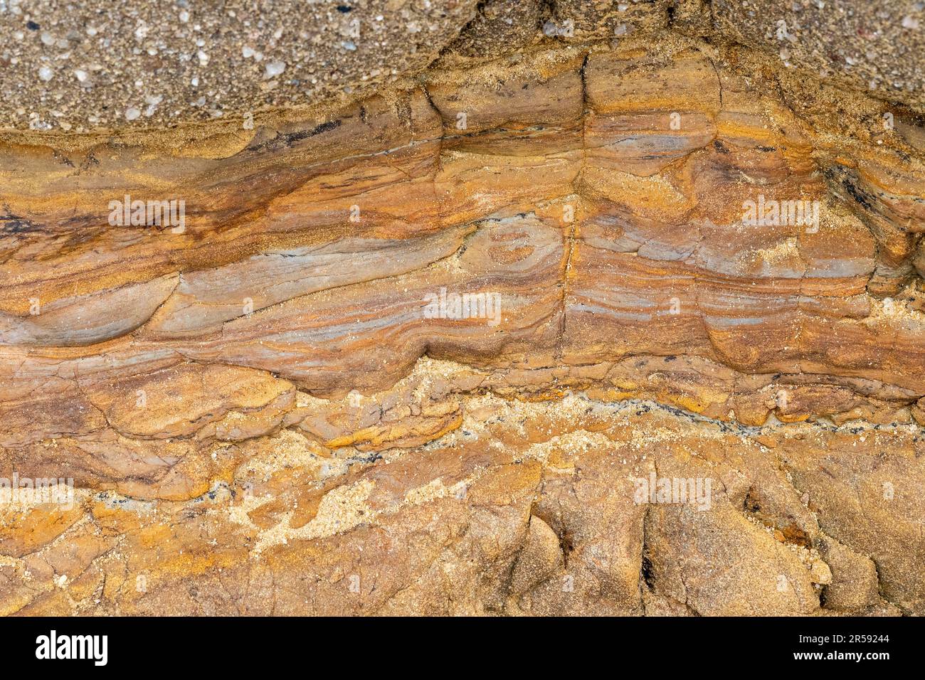 Beautiful sandstone at Salt Point State Park, California, USA, displaying different layers of rock Stock Photo