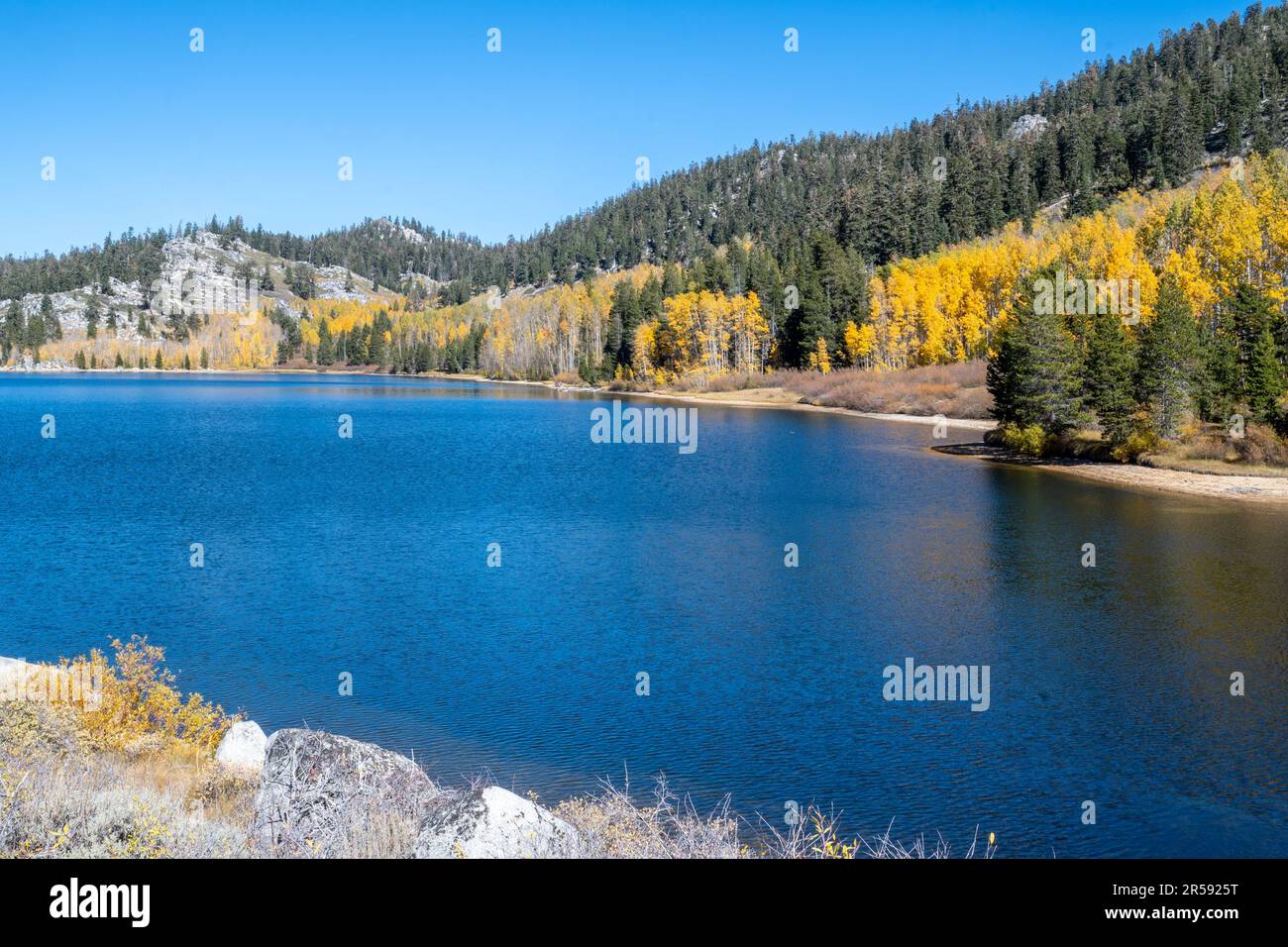 Shore of very blue Marlette Lake from the trail that starts at the Spooner lake, a popular Autumn hiking destination in the Sierra Nevada of Californi Stock Photo