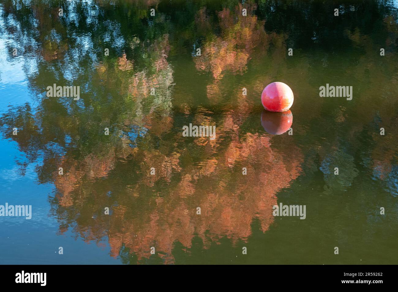Abstract fall composition featuring the reflection of fall foliage on a lake- large background and backdrop copy space, with a plastc ball half red an Stock Photo