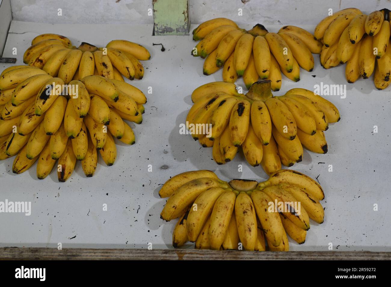 Golden Banana, Portuguese name Banana Ouro, for sale in a grocery store in Brazil Stock Photo