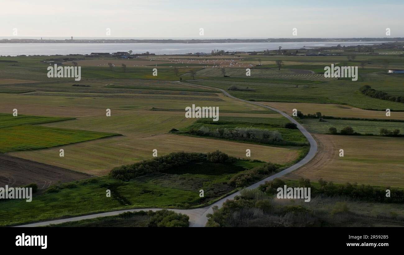 Aerial view of the cultivated fields of the estuary in Murtosa, Aveiro