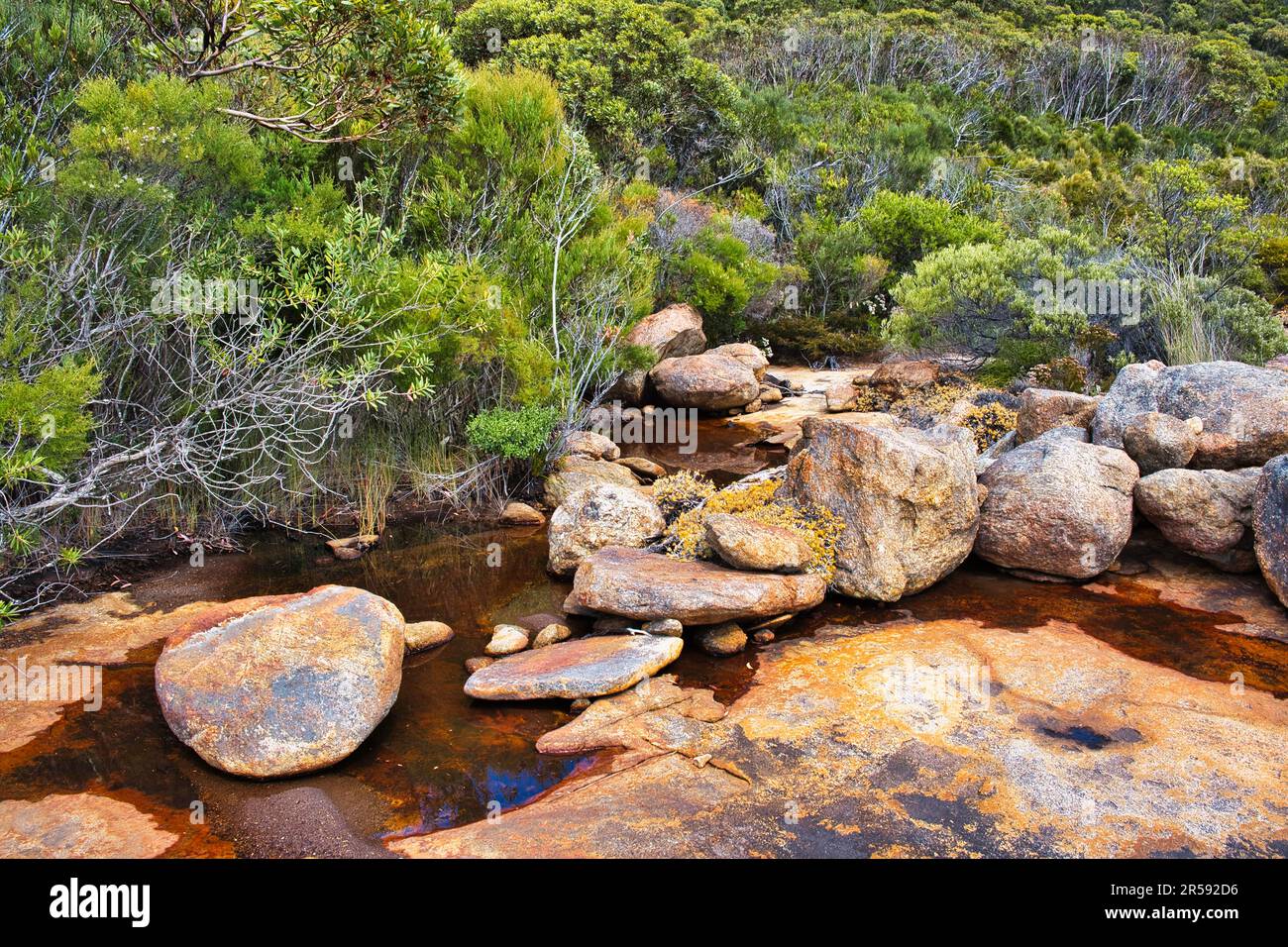cape le grand national park