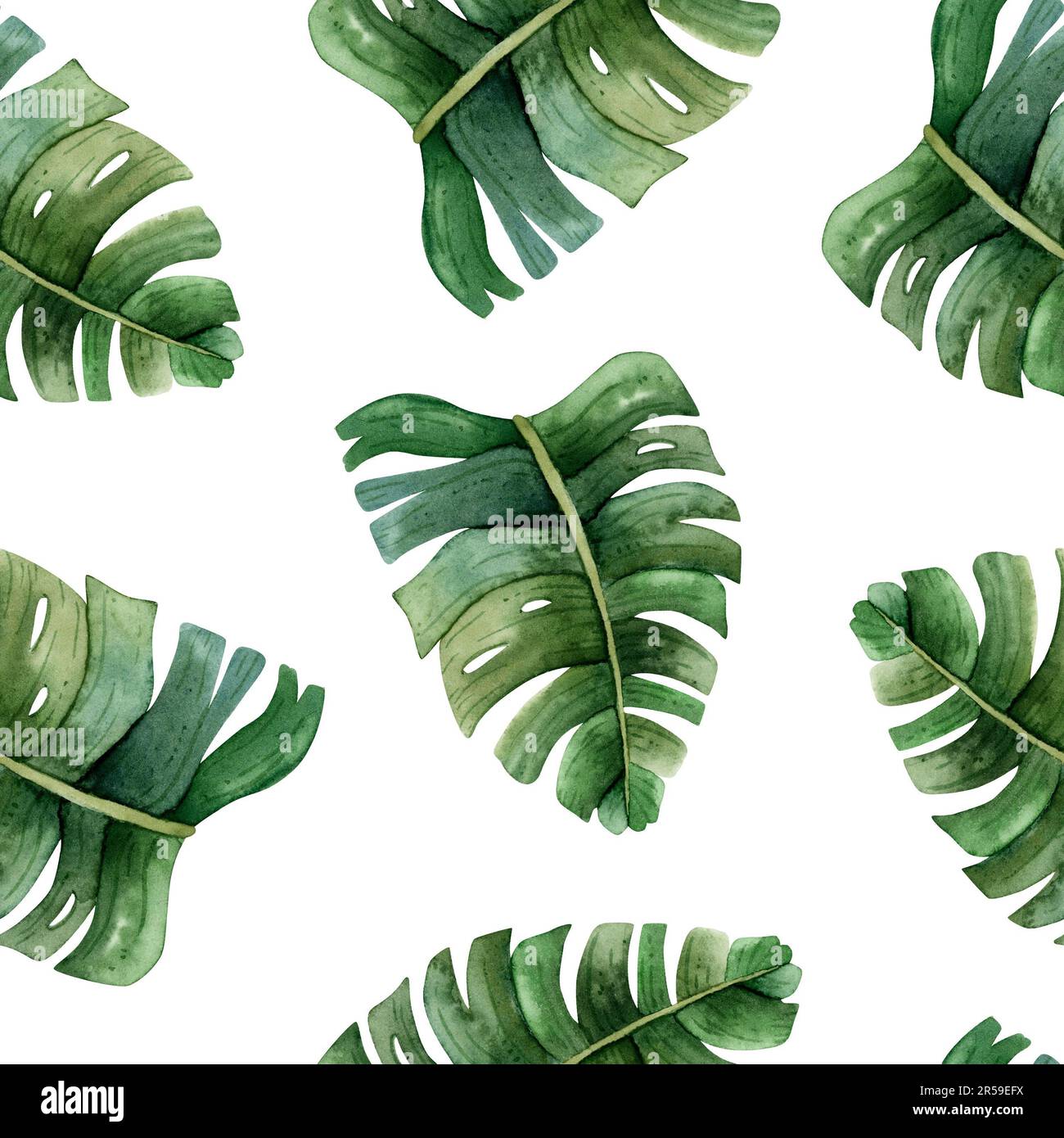 Green monstera leaves tropical watercolor seamless pattern on white ...