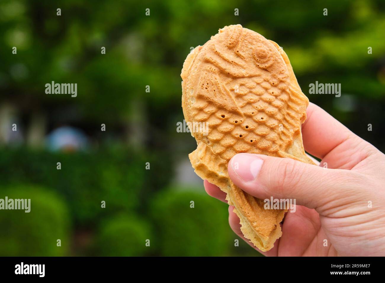Hand holding a Taiyaki, japanese fishshaped waffle filled with