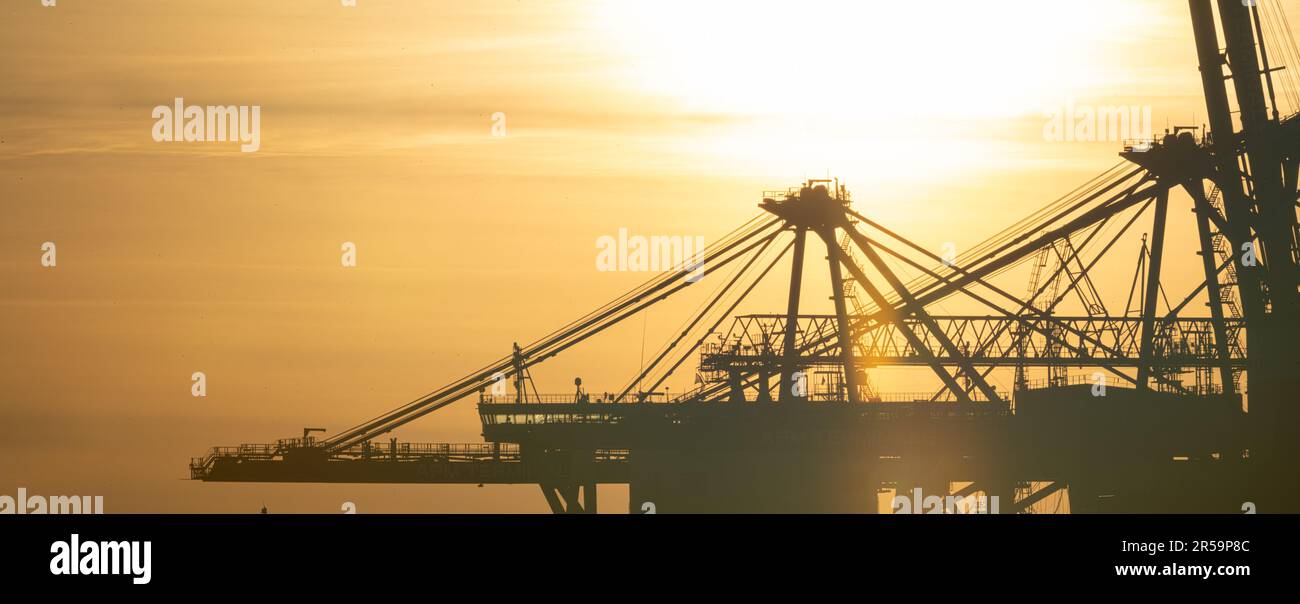 Details of a gigantic container gantry crane at sunset Stock Photo - Alamy