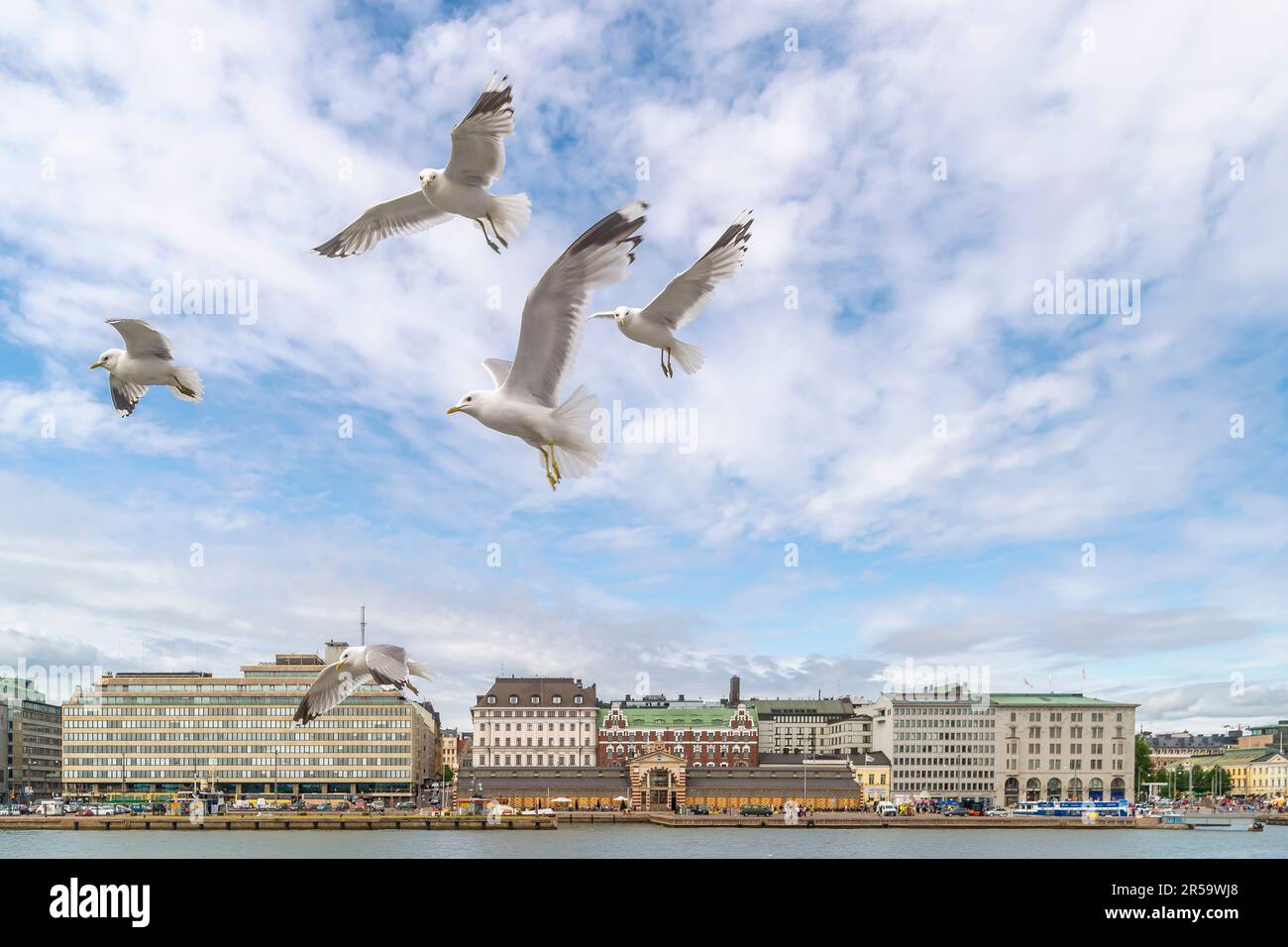 A group of seagulls on the blue sky of central Helsinki, Finland Stock Photo