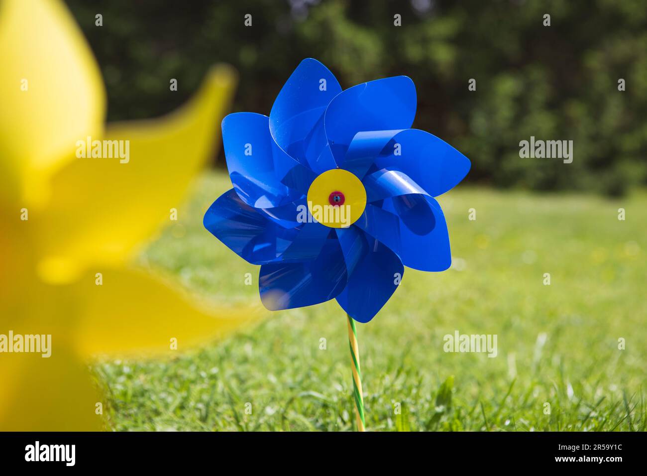 Close-up of blue toy windmill in the garden. Pinwheel on the meadow, green grass, summer time, childhood concept. Stock Photo
