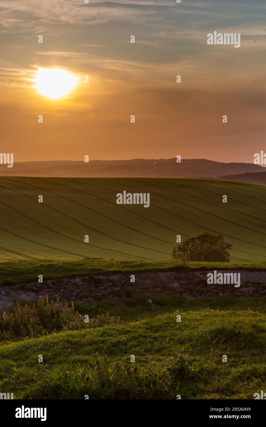 A rolling South Downs landscape at sunset Stock Photo