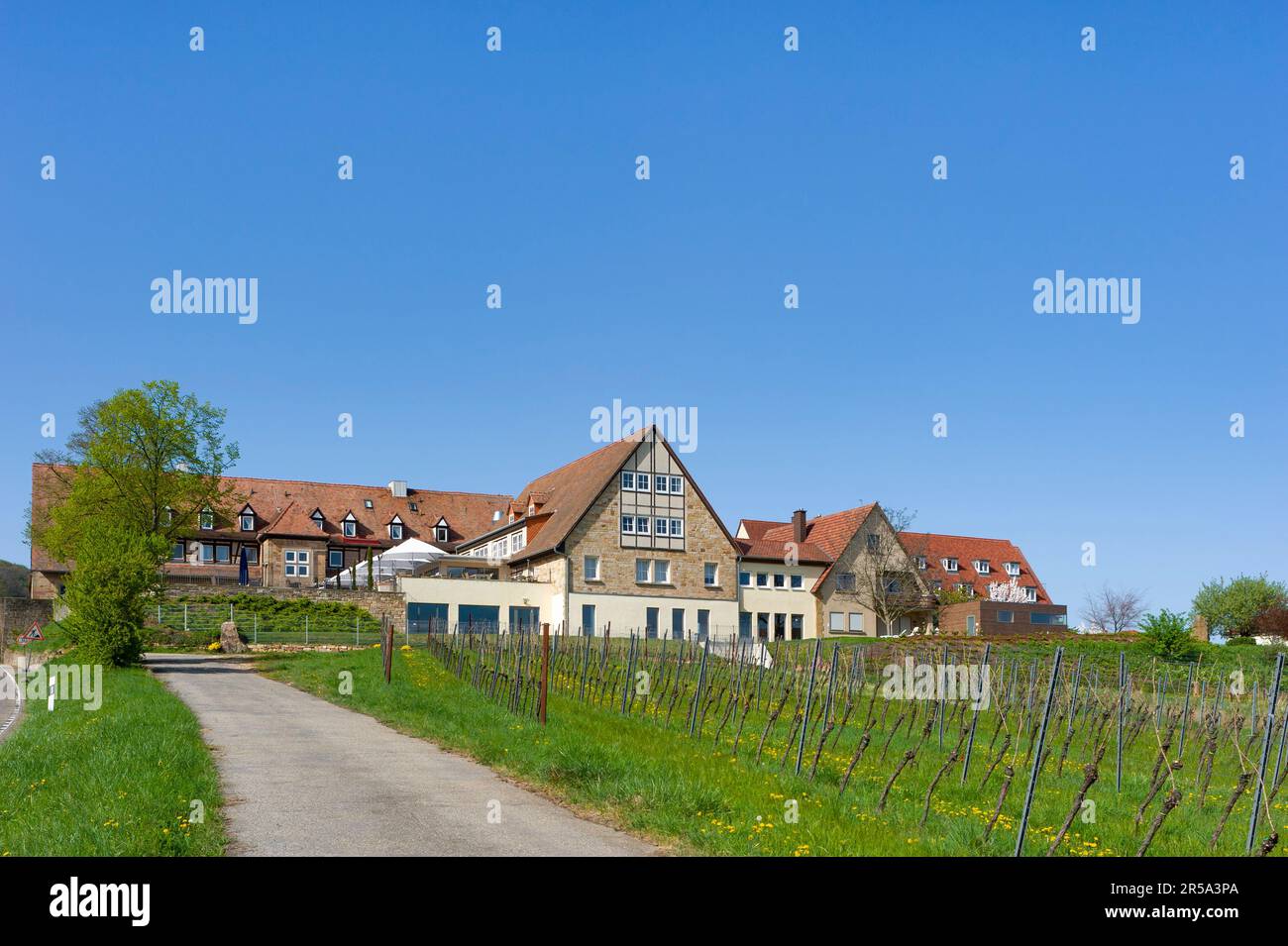 Leinsweilerhof on the Southern Wine Route, Leinsweiler, Palatinate, Rhineland-Palatinate, Germany, Europe Stock Photo