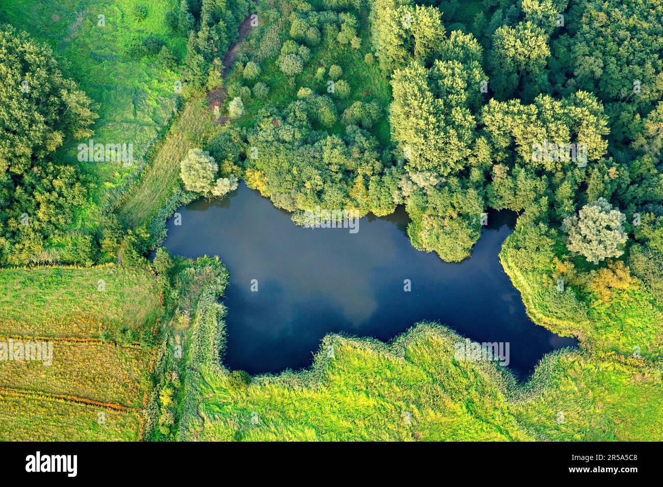 Molsbroek nature reserve hi-res stock photography and images - Alamy