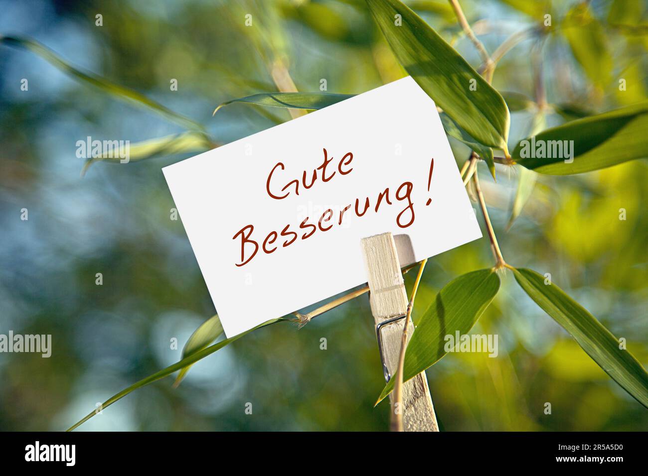 sheet at a bamboo lettering Gute Besserung, Get Well Soon Stock Photo