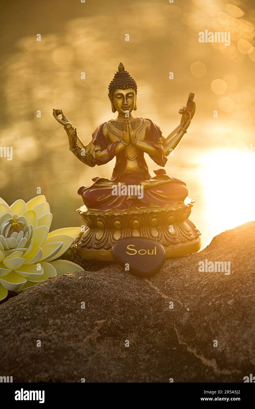 six-armed buddha by the water with Lotos flower in the morning Stock Photo