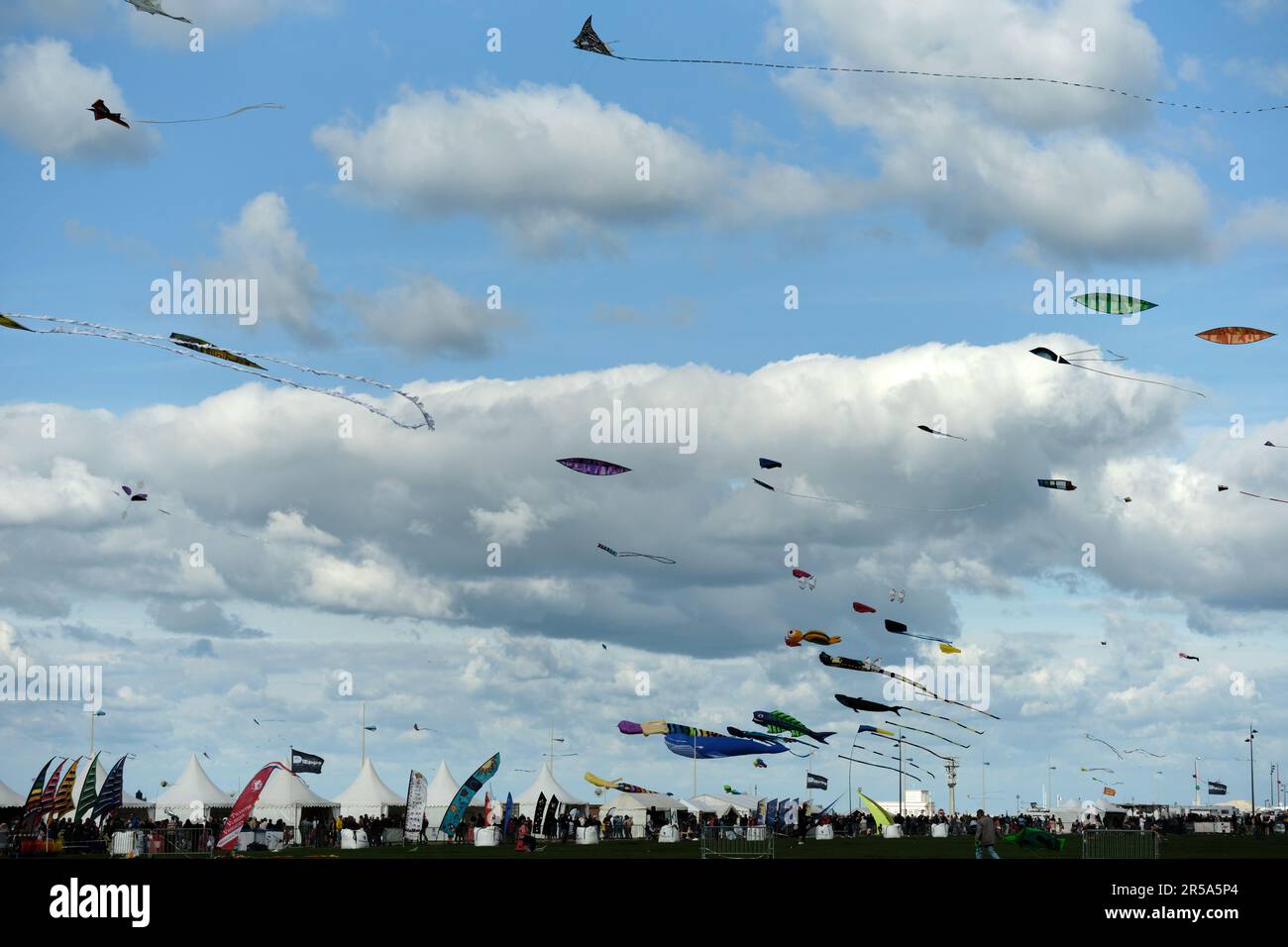 Kites international exhibition hires stock photography and images Alamy