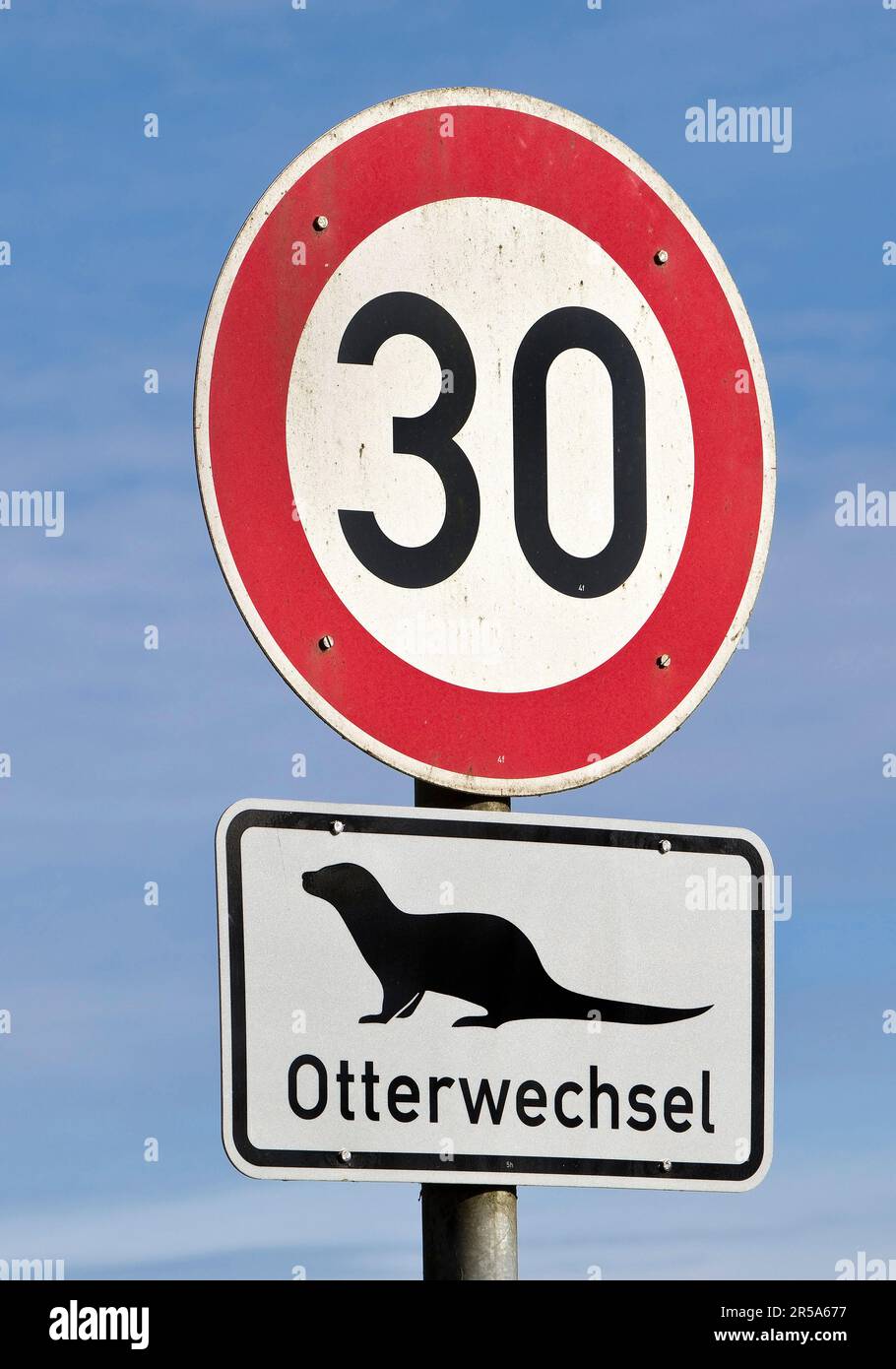 European river otter, European Otter, Eurasian Otter (Lutra lutra), traffic signs Speed limit 30 and otter trace, Germany, Schleswig-Holstein, Stock Photo