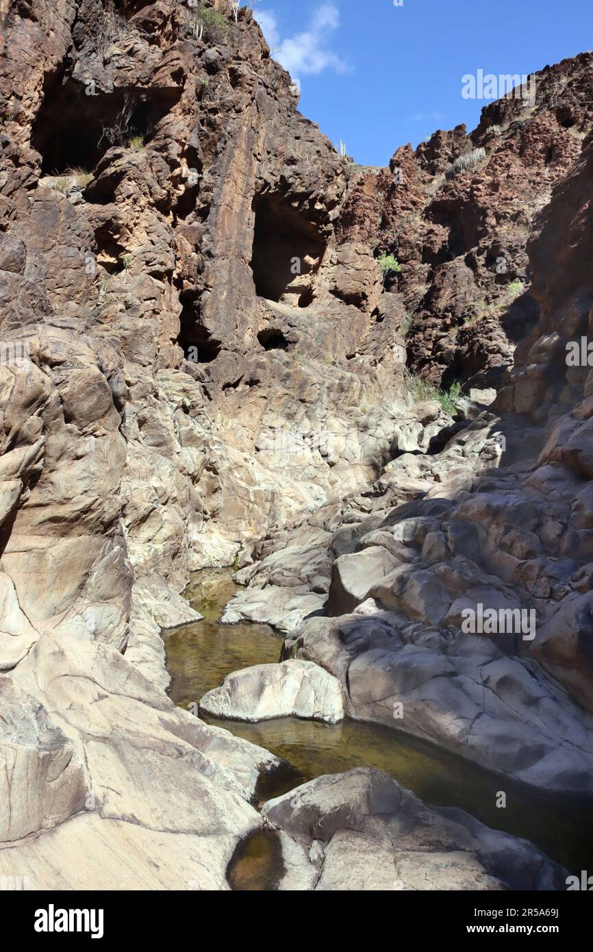 temporary pond Barranco del Torro, Canary Islands, Gran Canaria Stock Photo