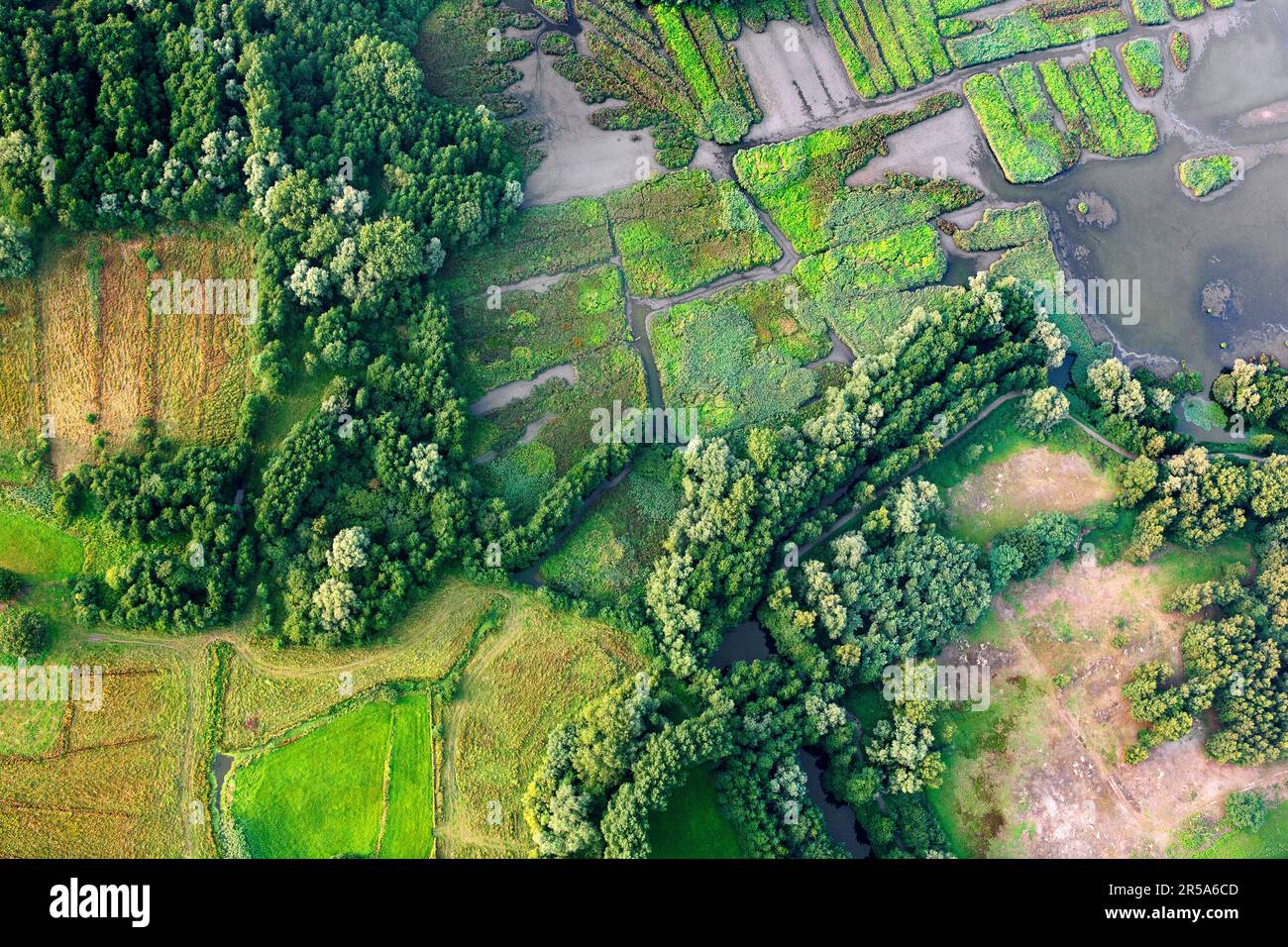Molsbroek nature reserve hi-res stock photography and images - Alamy