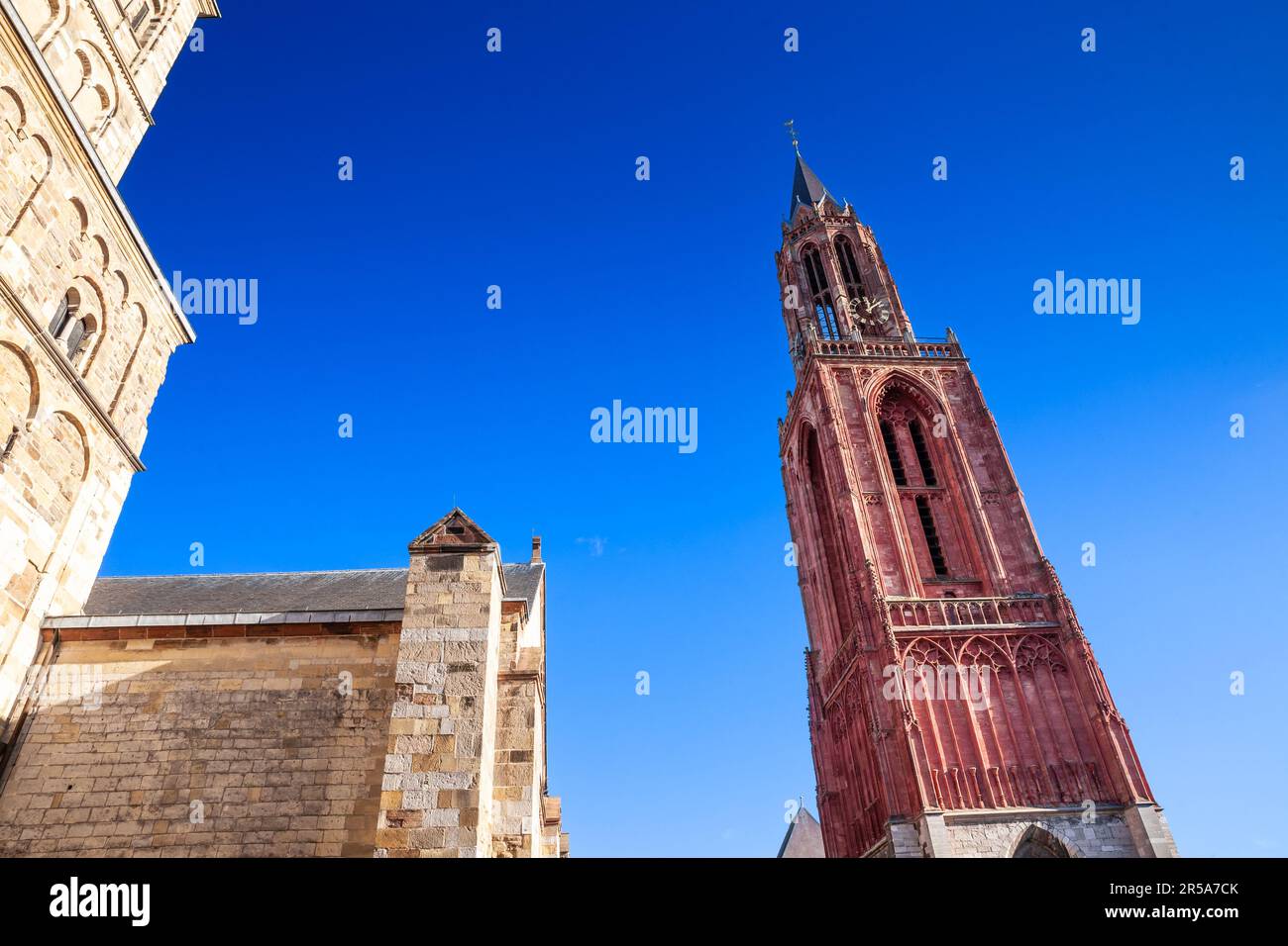 download gargoyles and the catholic church download gargoyles and the catholic church