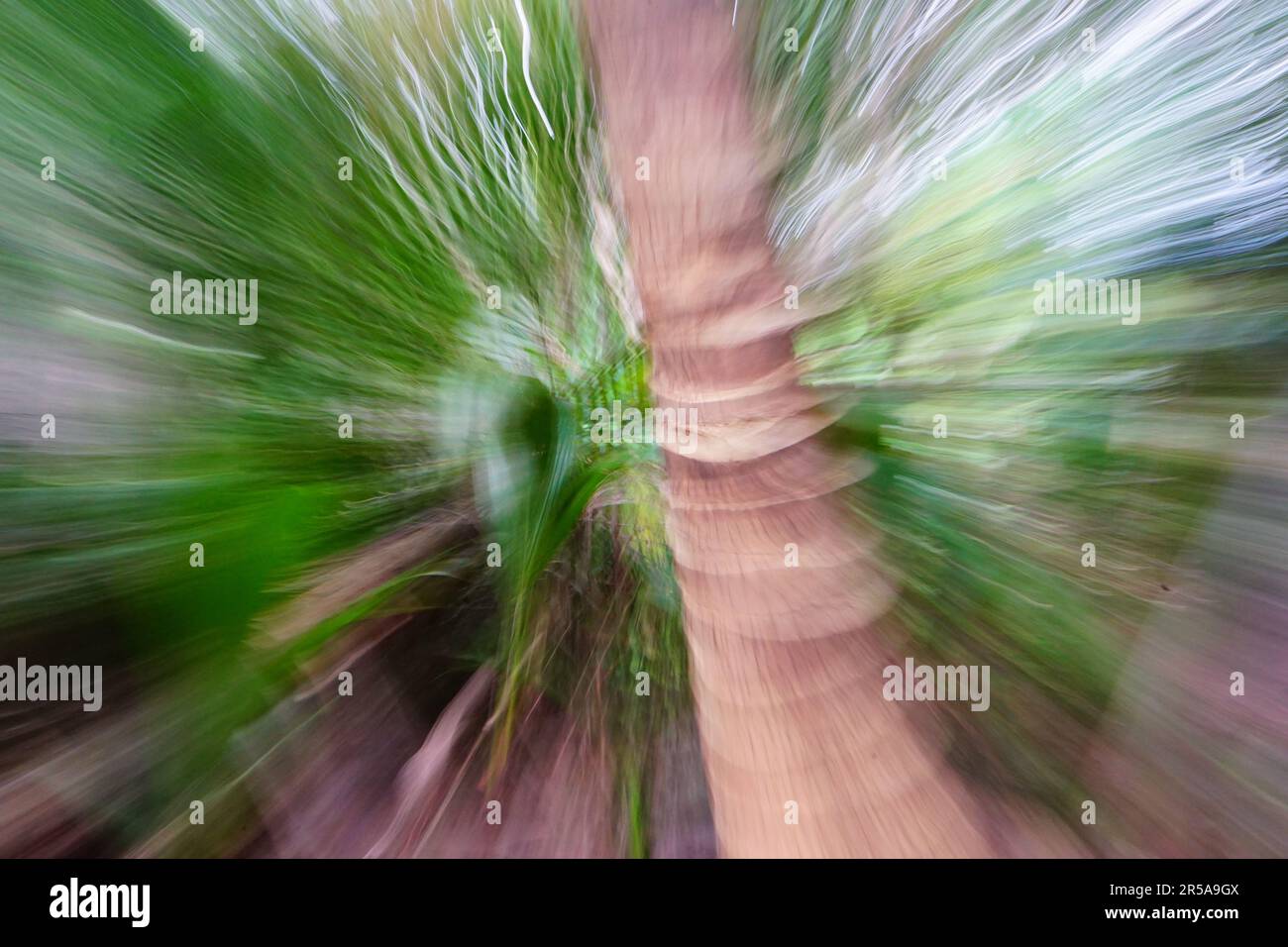 Long exposure jungle foliage Stock Photo