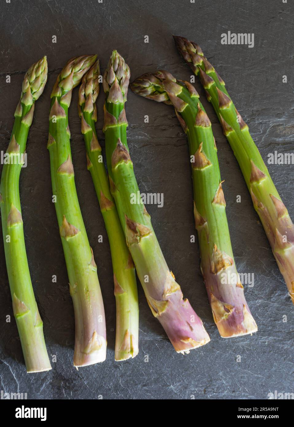 Asparagus tips Stock Photo