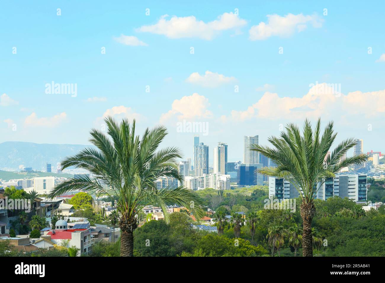 Picturesque view of city with buildings and beautiful palms on sunny day Stock Photo