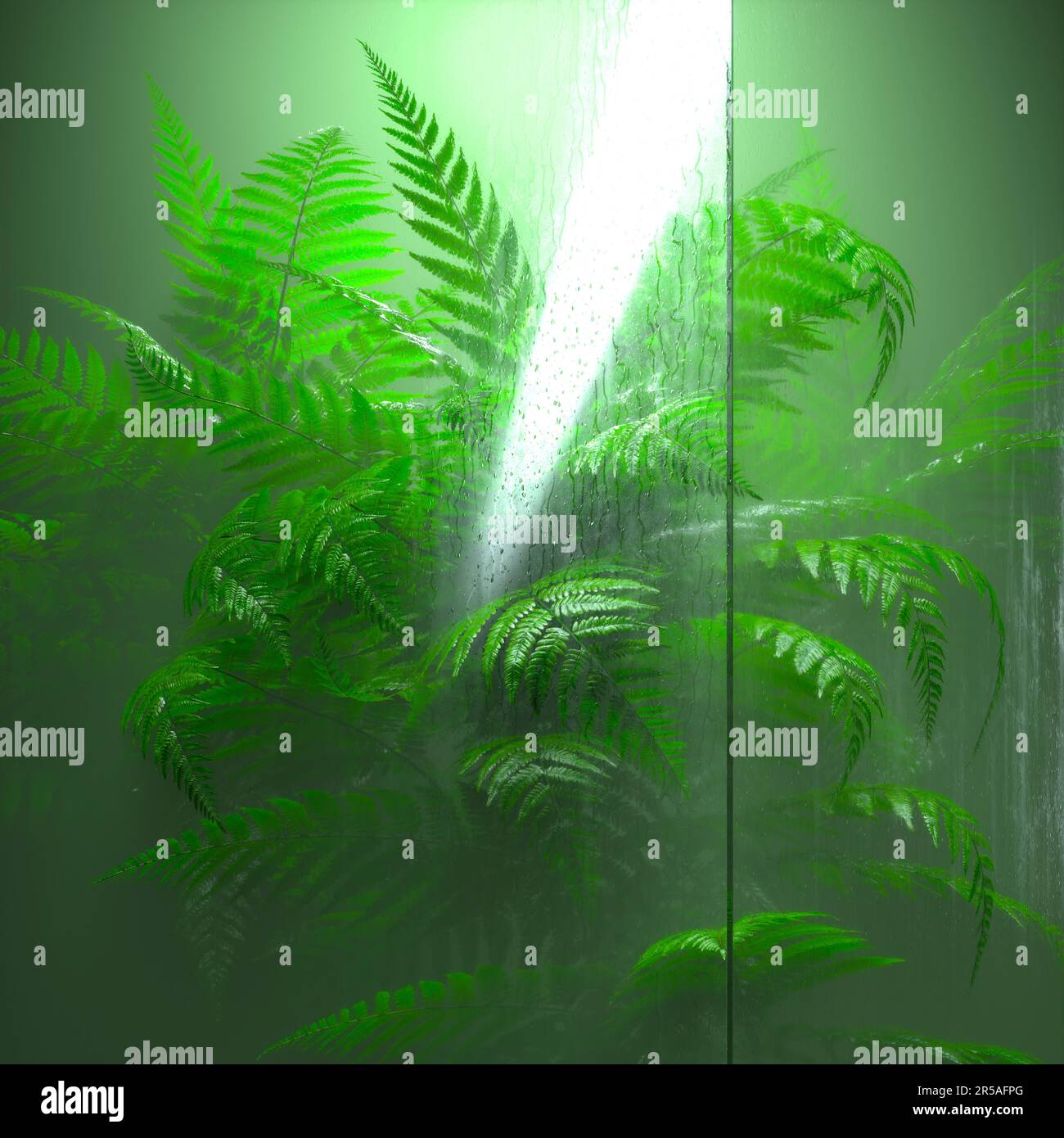 Green fern leaves behind the glass. Natural forest's plants in the glasshouse. Foliage from a tropical environment. Blurry vision. Nature. Botany. Bot Stock Photo