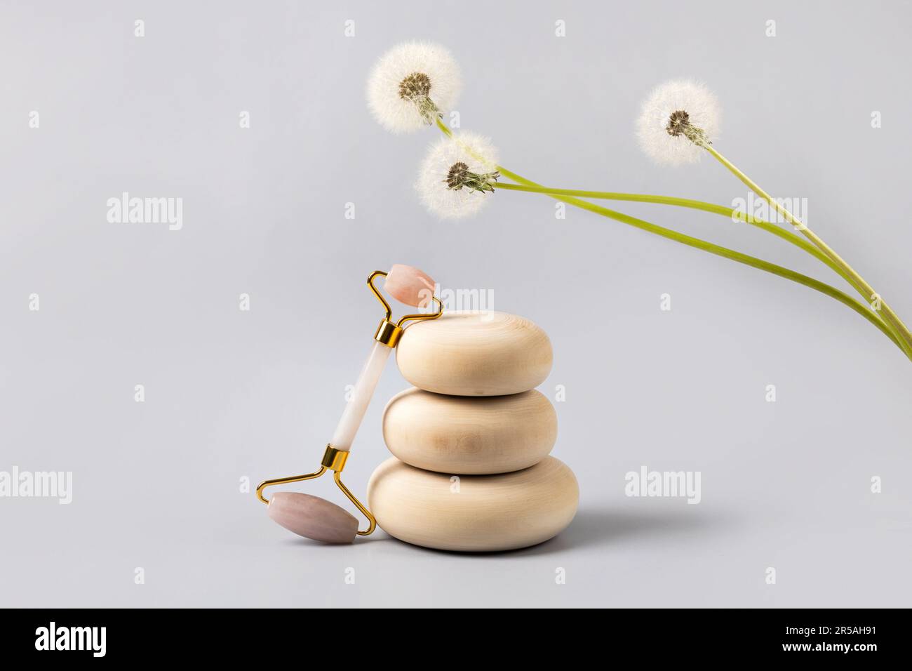 Rose quartz facial roller on wooden stones with flower dandelion, gray background. Facial anti-age massage for natural lifting and at home. Front view Stock Photo
