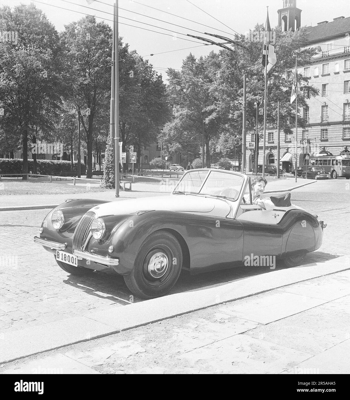 Driving in the 1950s. A young woman in an open convertible Jaguar XK120. A british sportscar that was considered having a futuristic design. The numbers 120 indicates the car's topspeed, 120 mph/193 km/h. The car was a two-seater with an aluminium chasse. It was made in a total of 12078 cars.  Sweden 1953. ref BL108-8 Stock Photo
