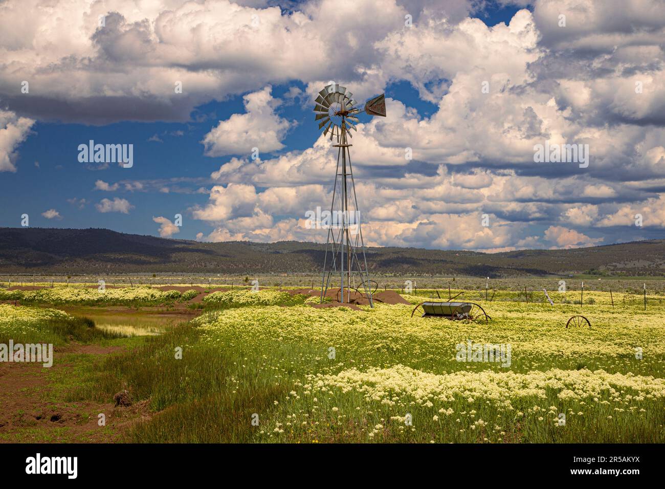 Windmill and wildflowers in Lassen County California, USA. Stock Photo