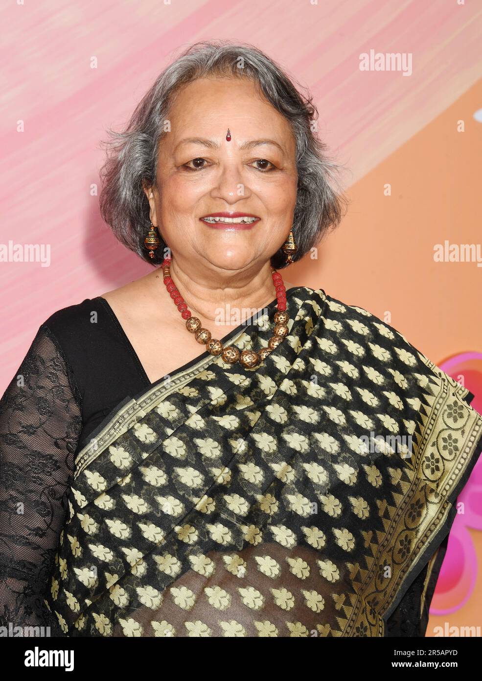 LOS ANGELES, CA - JUNE 01: Ranjita Chakravarty Attends Netflixs