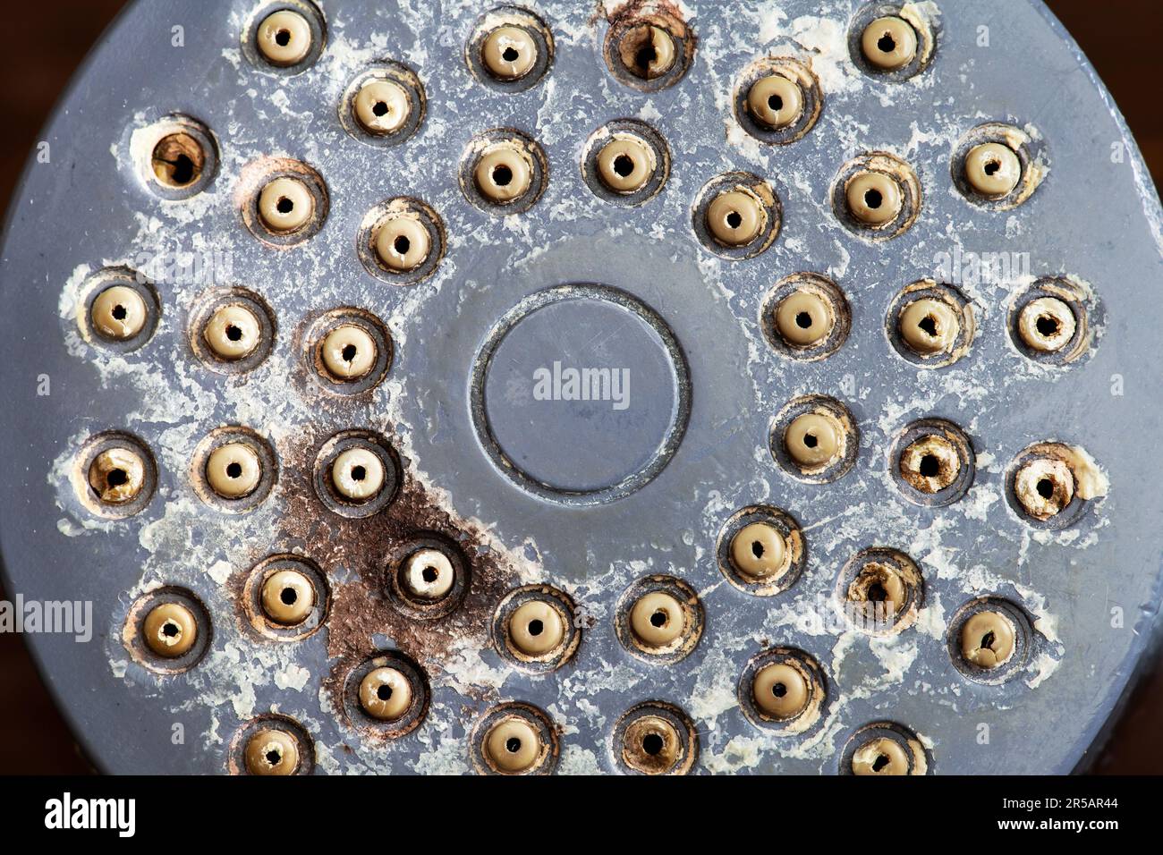 Dirty shower head with black mold and lime, limescales. Hard water in