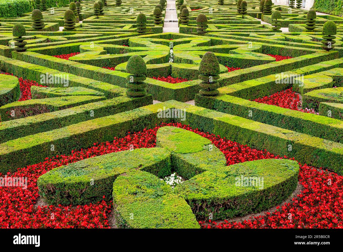 Formal gardens of Chateau Villandry near Tours, Loire Valley, Centre France Stock Photo