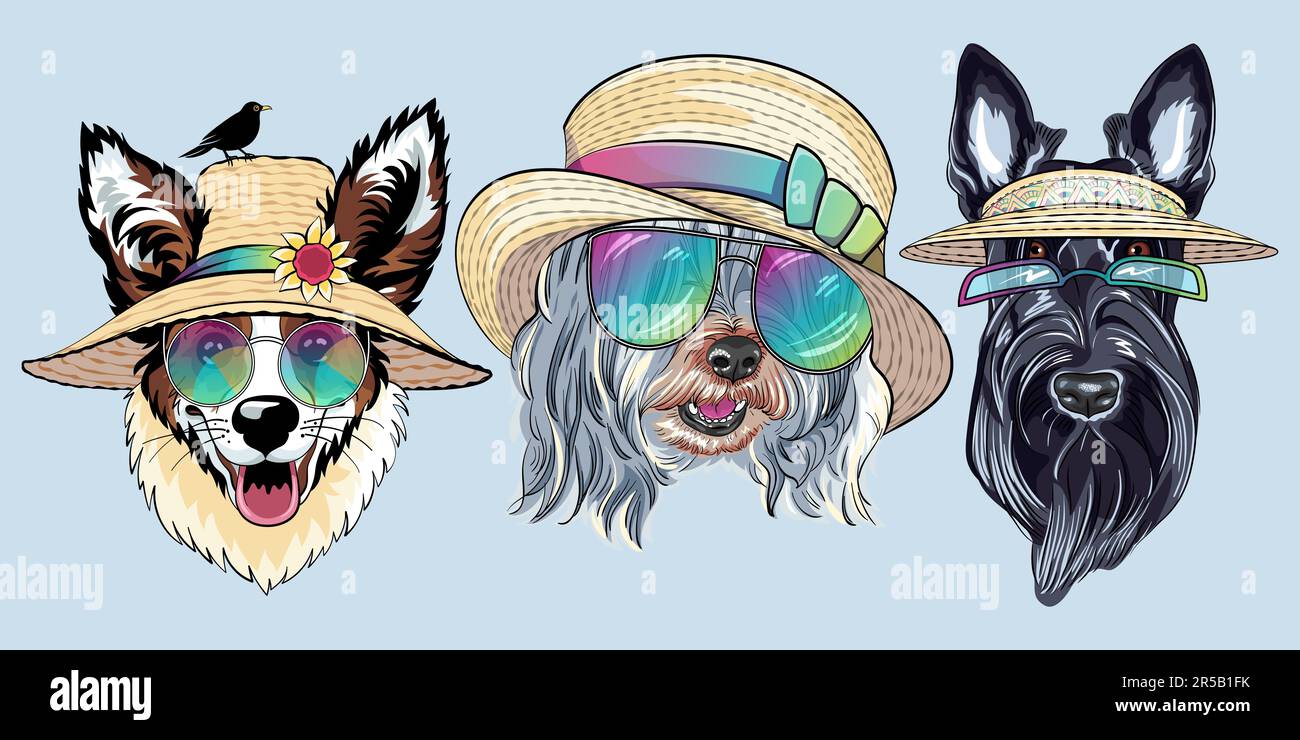 Set of Vector fashion dogs in straw hat. Hipster dog Pembroke Welsh corgi, Scottish Terrier and Lowchen or Little Lion Dog Stock Vector