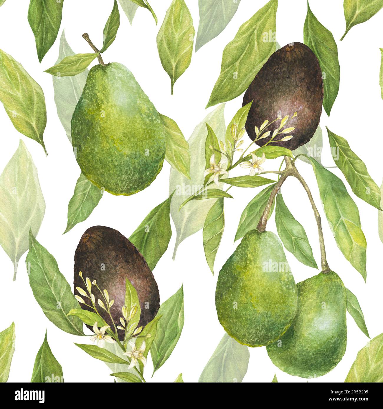 Watercolor seamless pattern with illustration of appetizing green hass ...