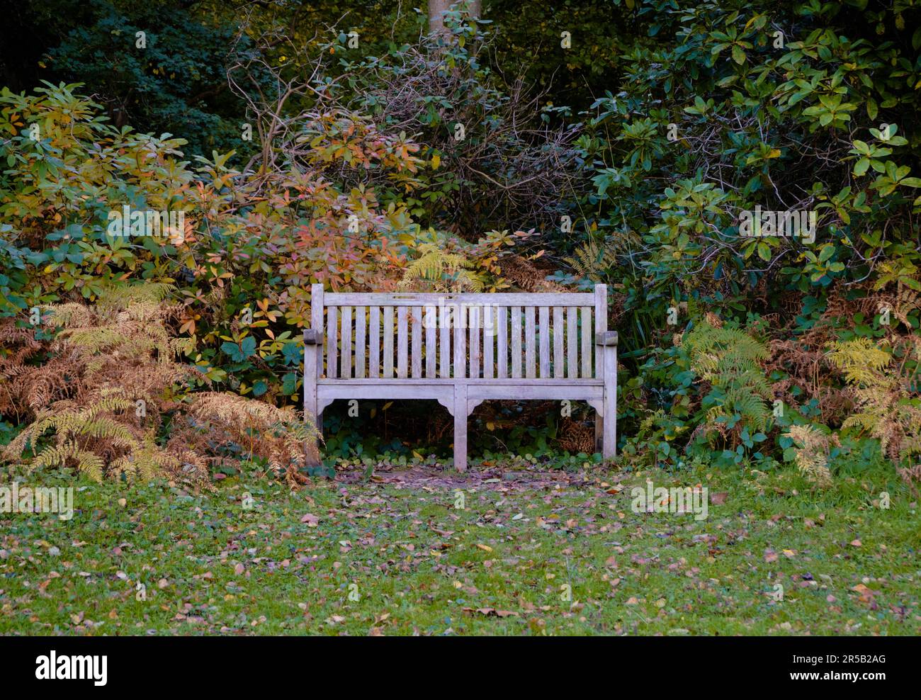 An Empty Bench Empty bench in walking hi-res stock photography and images - Alamy