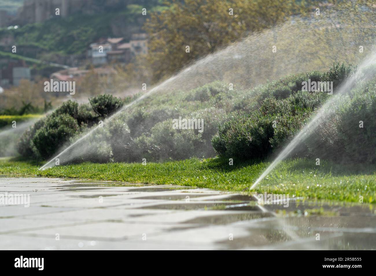 Automatic sprinkler system watering the lawn. Irrigation for plants in