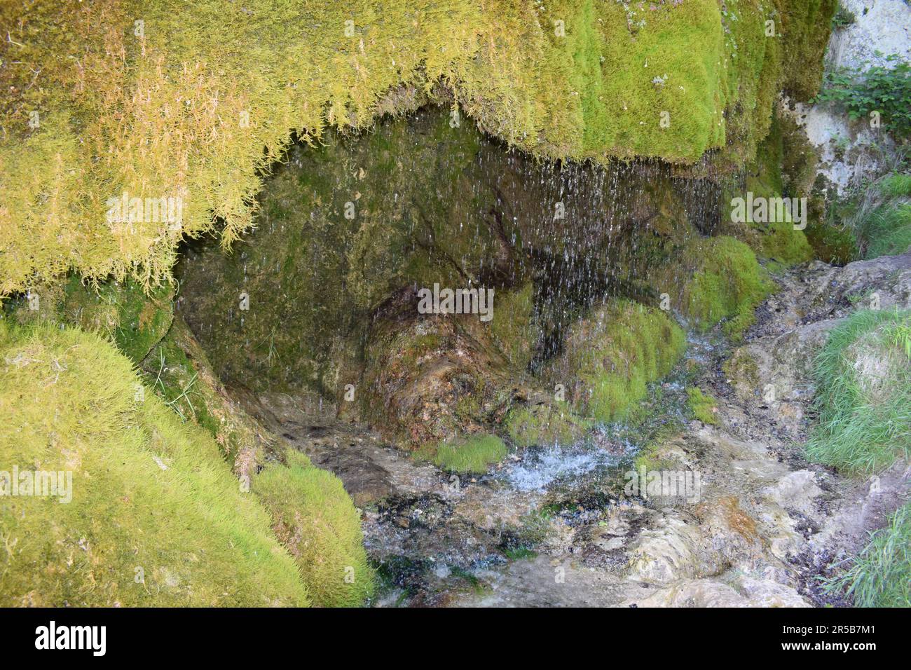 Moss Covered Waterfall during Springtime Stock Photo - Alamy