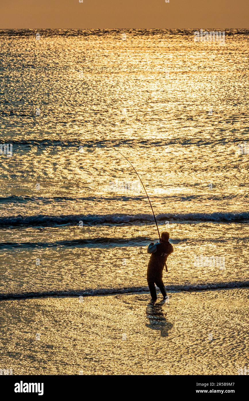 A sea angler beach casting in the sunset at Whitesands Bay, a Blue Flag beach on the St David's peninsula in the Pembrokeshire Coast National Park, Wa Stock Photo