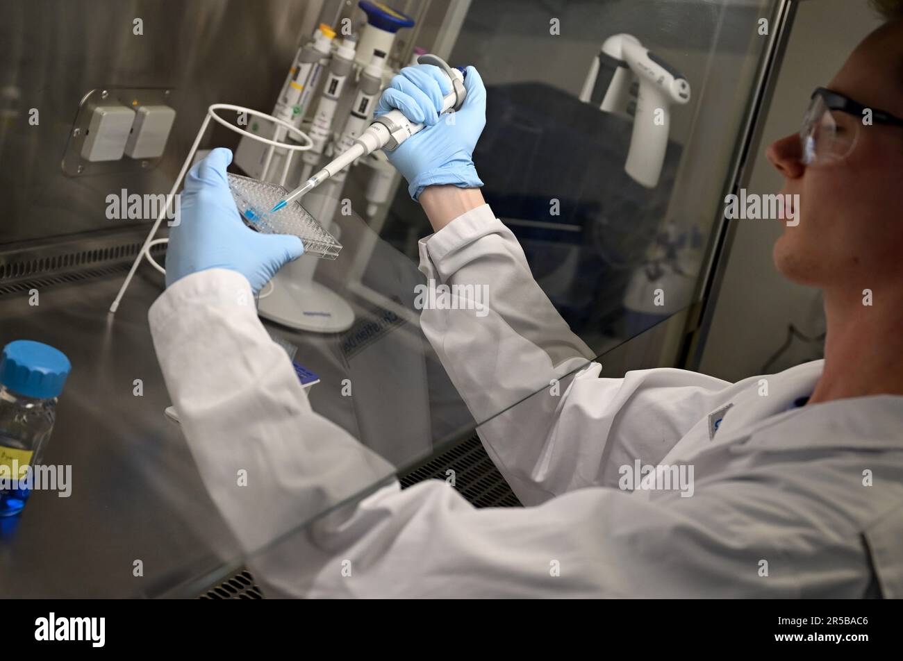 PRODUCTION - 23 May 2023, Hesse, Darmstadt: Biology lab technician ...