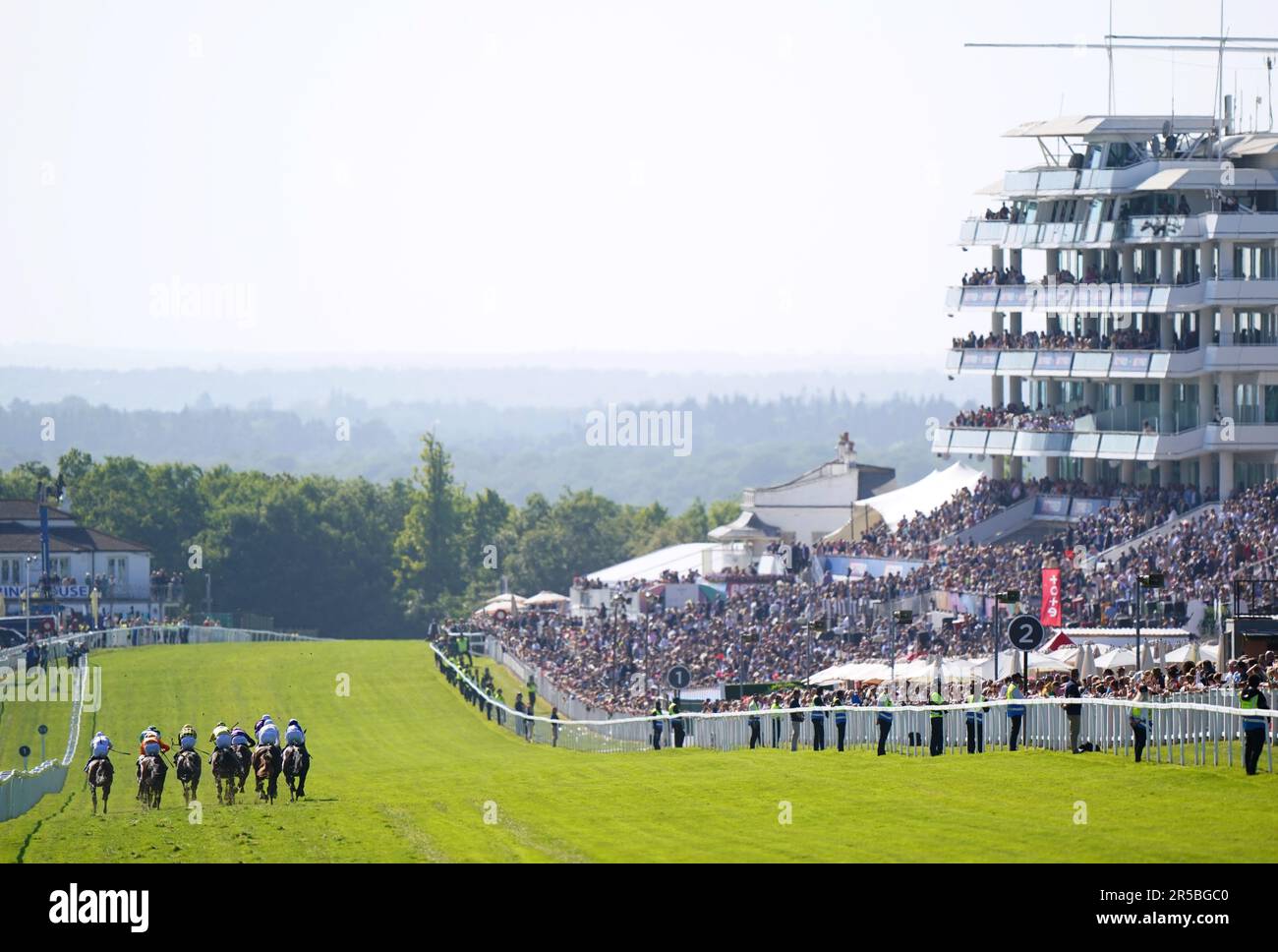 Runners and riders in action as they compete in the Nyetimber Surrey