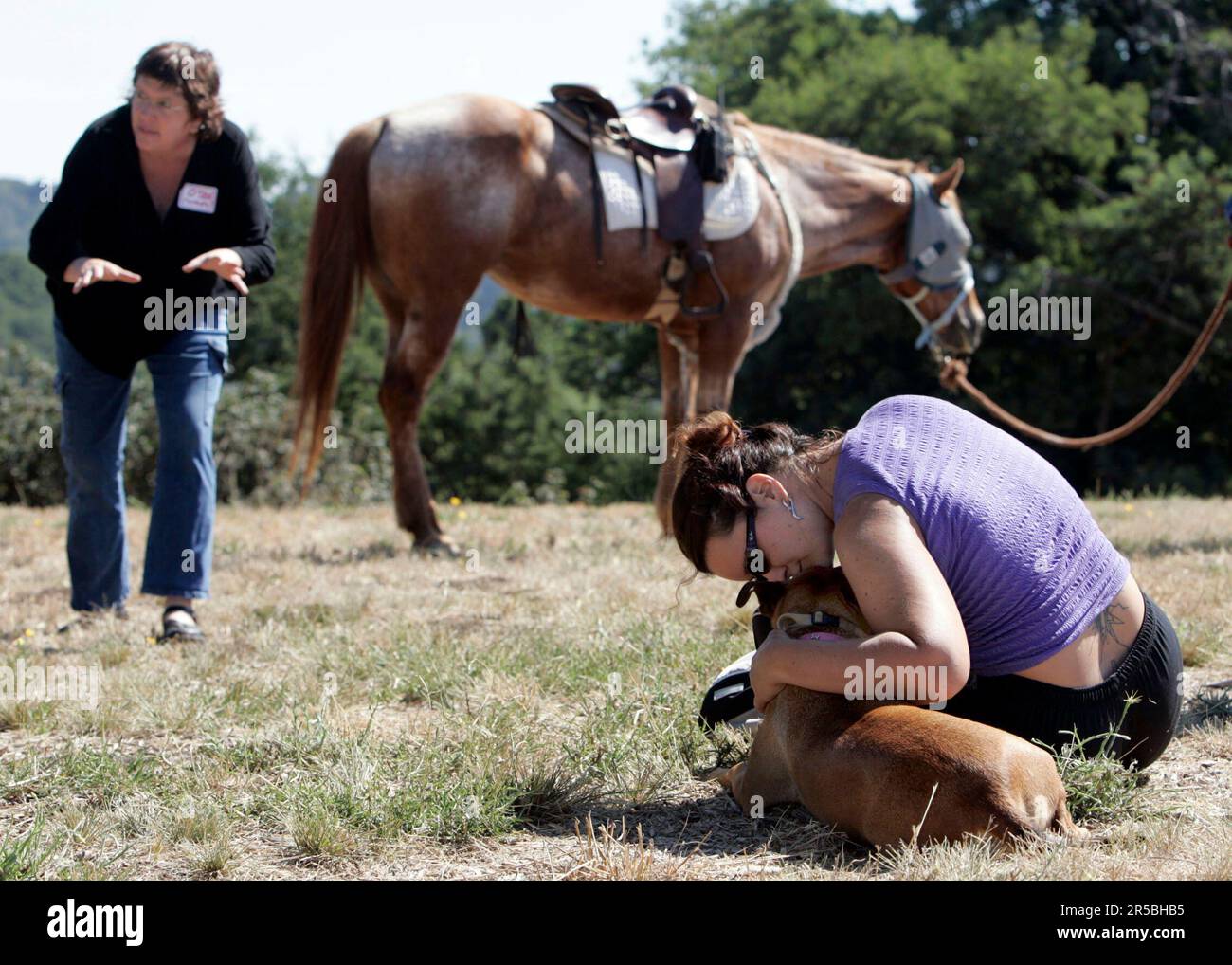 Dolly Dog Ponies Dolly Dog Ponies