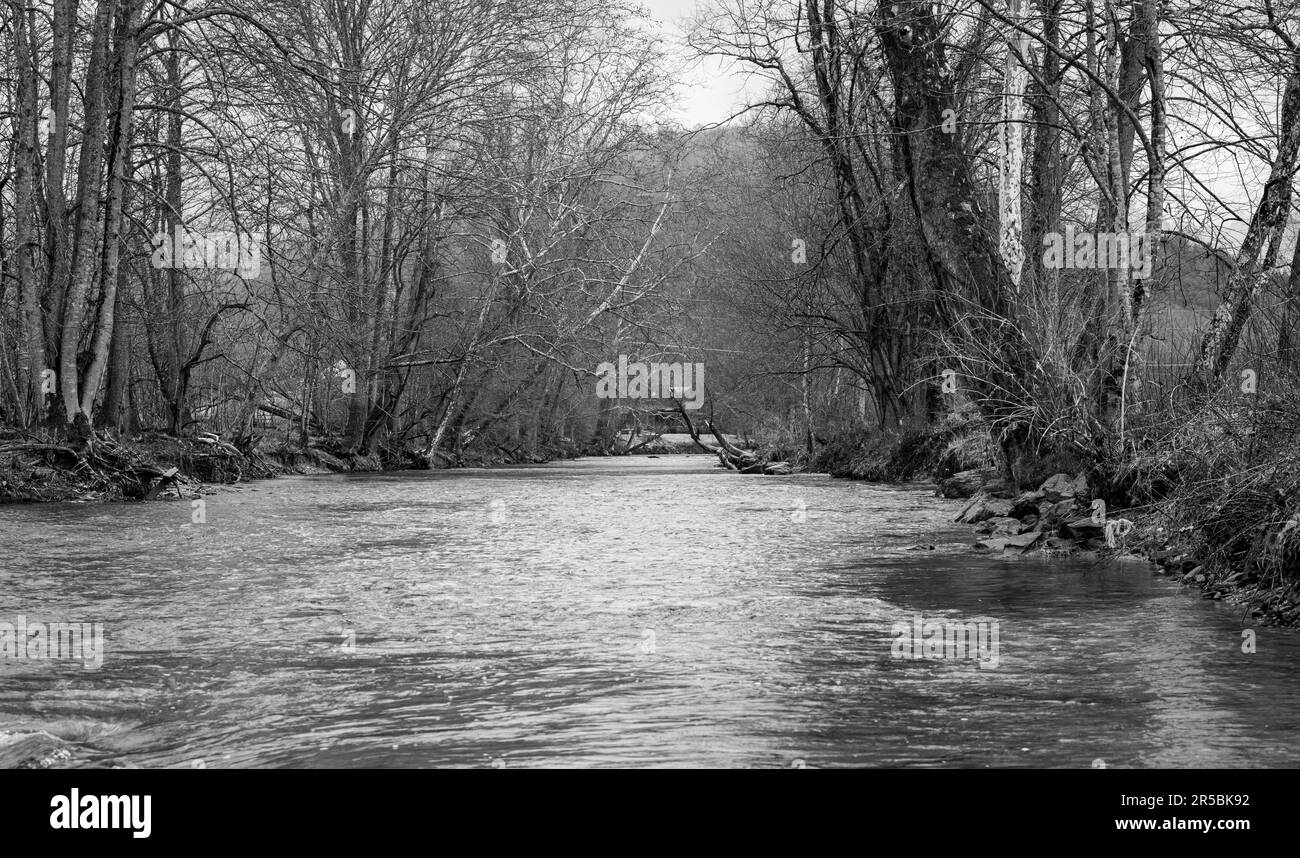 A beautiful view of a river flowing through the woods Stock Photo - Alamy