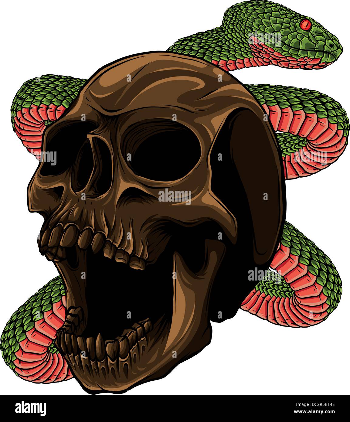 vector illustration of frog on the skull and leaves Stock Vector Image ...