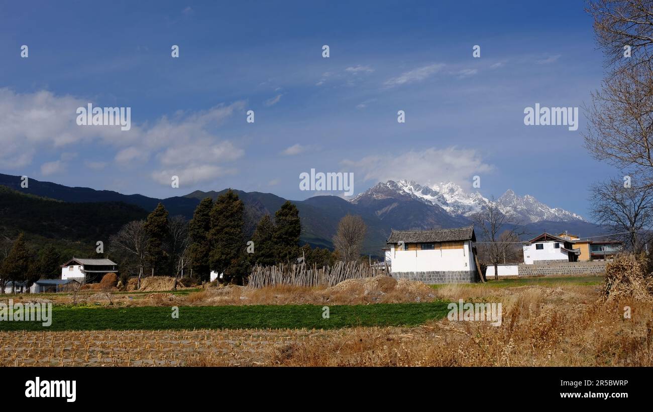 Lush green landscape dotted hi-res stock photography and images - Alamy