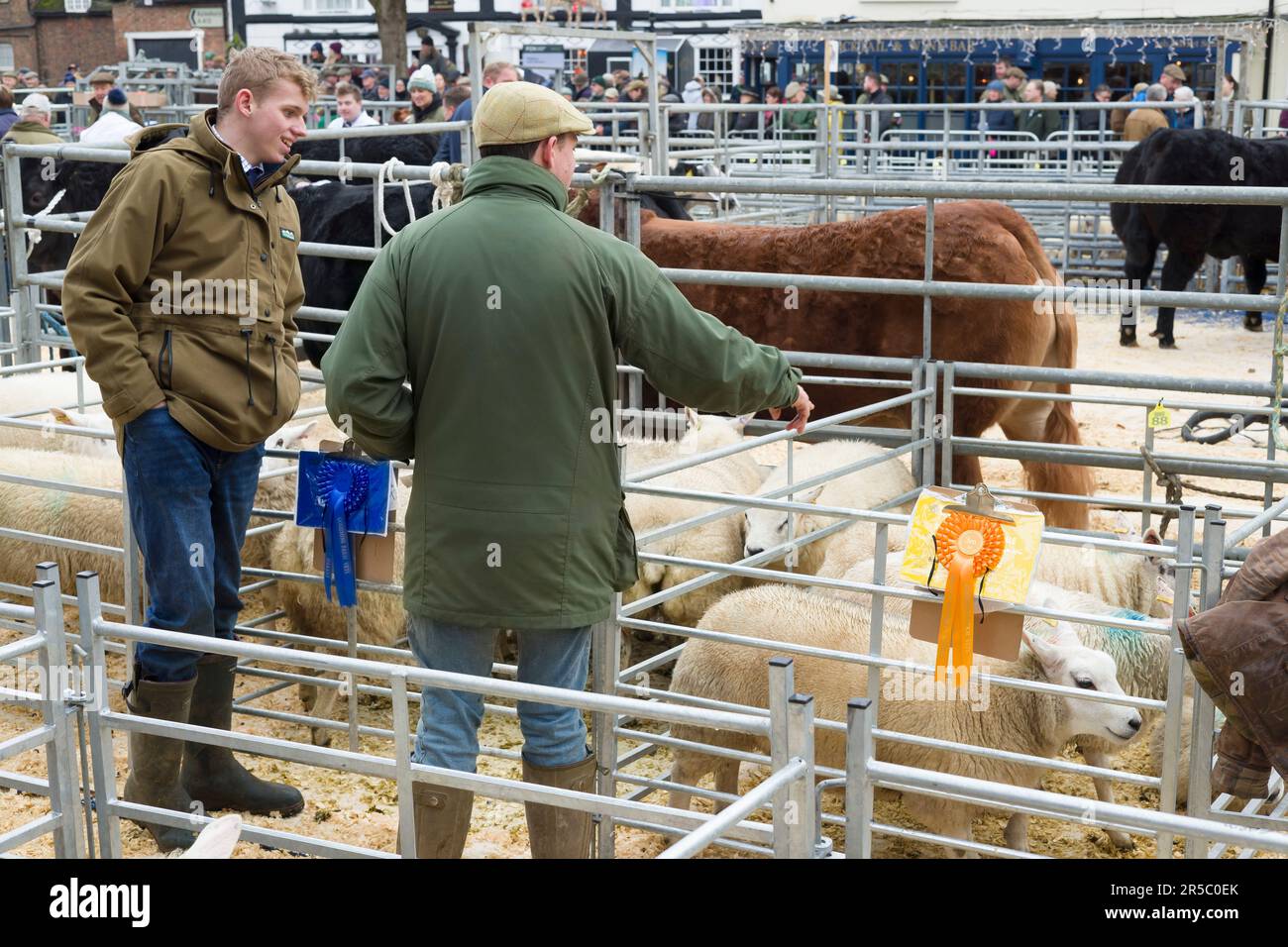 WINSLOW, UK - December 05, 2022. Farmers at a market with prize sheep, livestock. Winslow Primestock Christmas Show, Buckinghamshire, UK Stock Photo