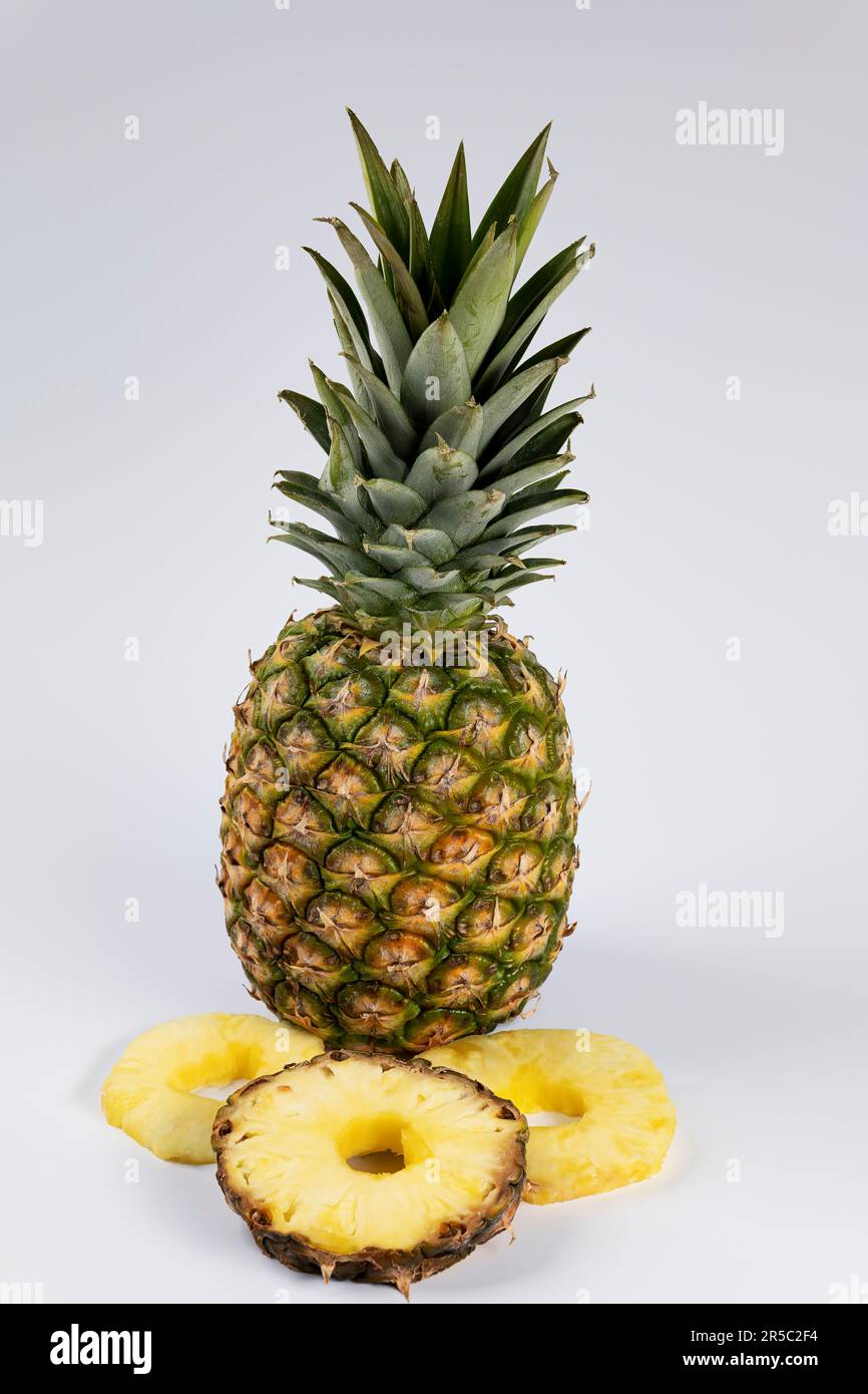 A whole pineapple, with three slices of pineapple in the foreground. Product photo Stock Photo