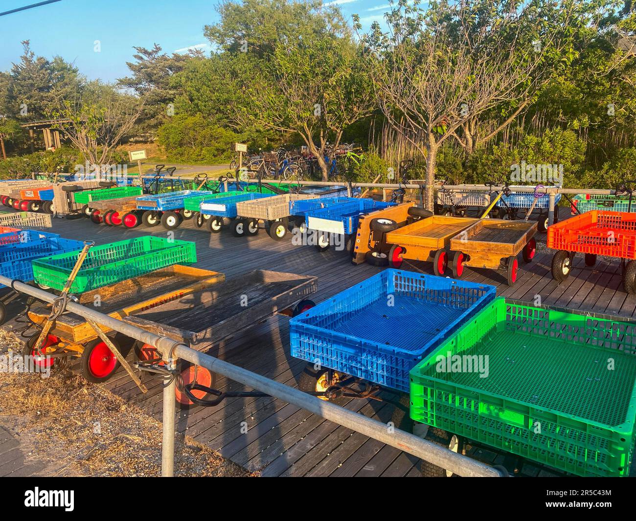 Colorful wagons locked up by Ocean Bay Park Ferry terminal on Fire Island Long Island New York. Stock Photo