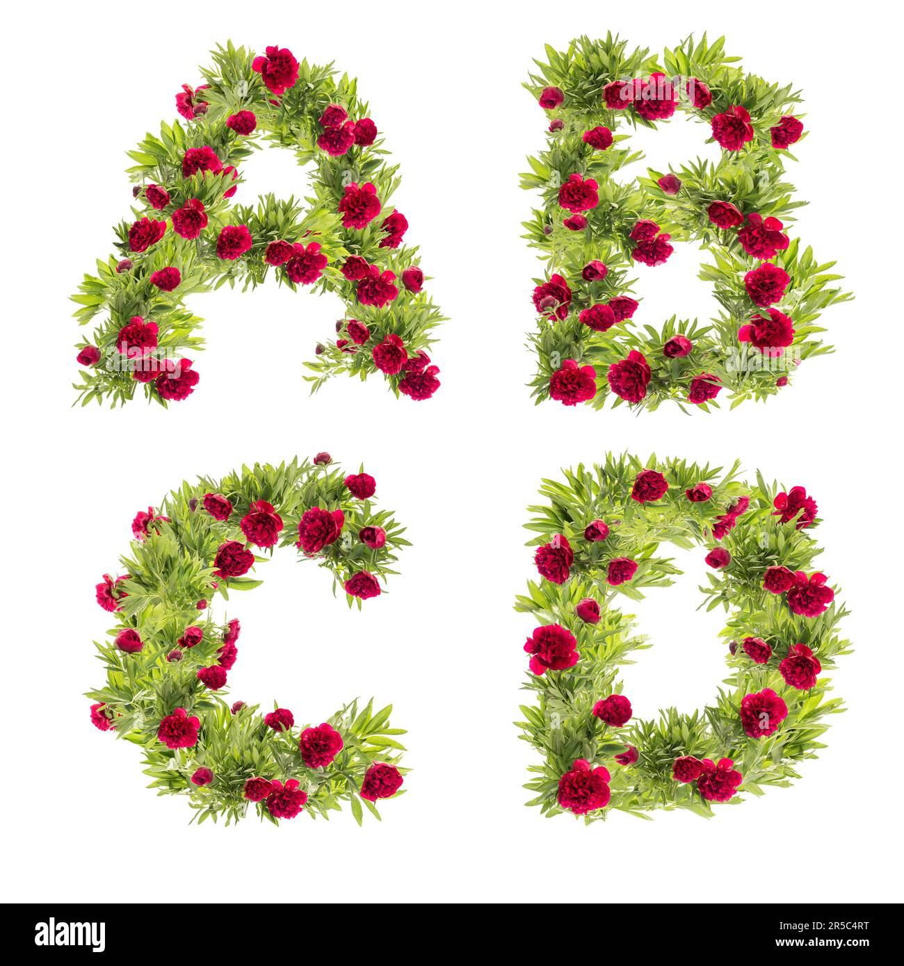 3D illustration of Peony flowers capital letter alphabet - letters A-D Stock Photo